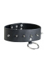 Ошейник кожаный с шипами TOYFA Theatre, 44 см